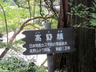 photo 075.jpg