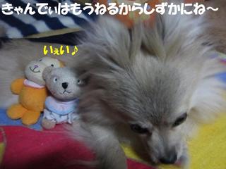 photo 076.jpg