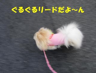 photo 114.jpg
