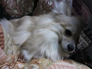 photo 152.jpg