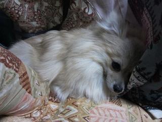 photo 153.jpg