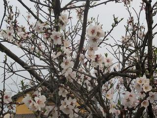 photo 156.jpg