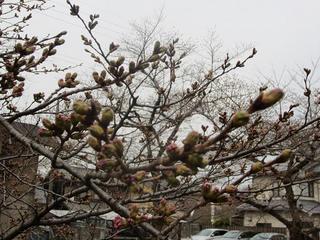 photo 157.jpg