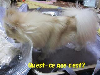photo 164.jpg