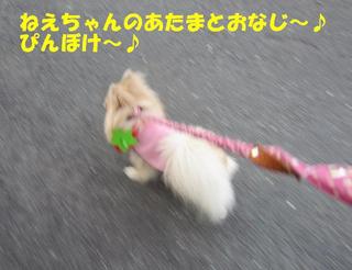 photo 187.jpg