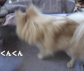 photo 192.jpg