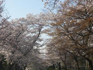 photo 200.jpg