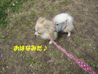 photo 241.jpg
