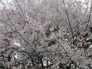 photo 249.jpg