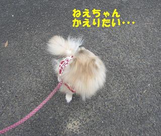 photo 326.jpg