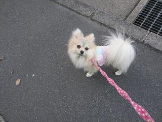 photo 349.jpg