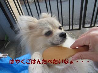 photo 351.jpg