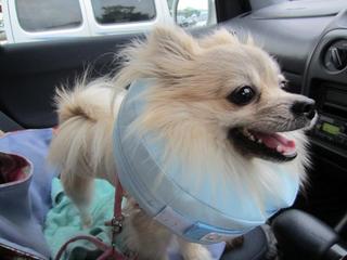 photo 396.jpg